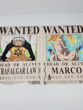 One Piece Dead or Alive, Trafalgar Law & Marco, 8x12 Glossy